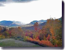 Vacation Rentals